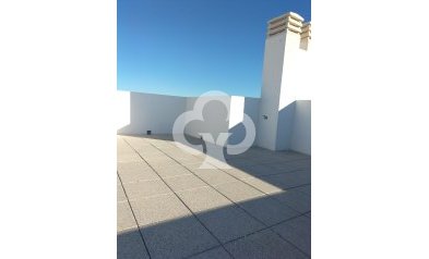 Obra nueva - Bungalows -
Orihuela