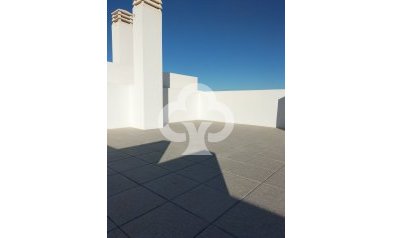 Obra nueva - Bungalows -
Orihuela