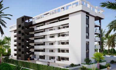 New Build - Flats -
Torrevieja - torrevieja