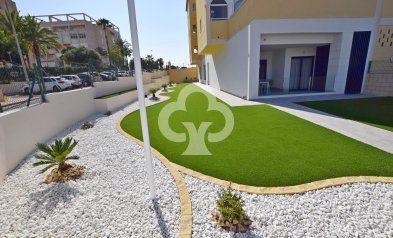 New Build - Ground floors -
Torrevieja - torrevieja