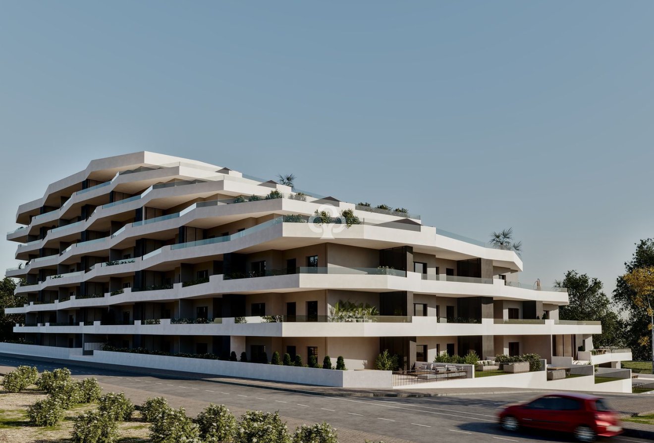 Neue Gebäude - Flats -
San Miguel de Salinas