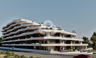 Neue Gebäude - Flats -
San Miguel de Salinas