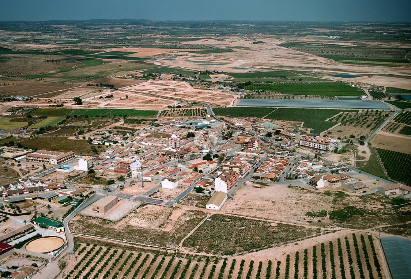 Obra nueva - Villas -
Avileses