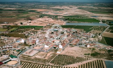 Obra nueva - Villas -
Avileses