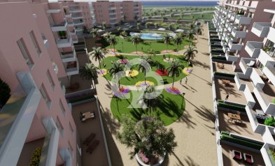 New Build - Flats -
Guardamar del Segura