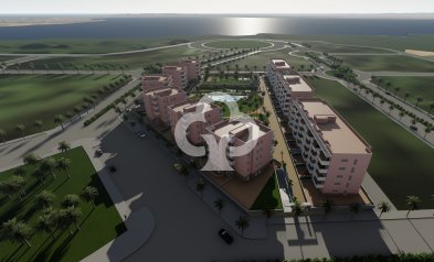 New Build - Flats -
Guardamar del Segura