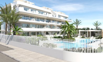 Obra nueva - Flats -
Orihuela