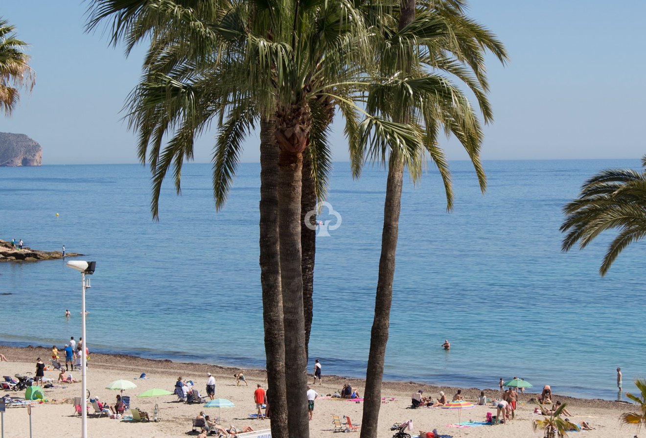 Neue Gebäude - Penthouses -
Calpe