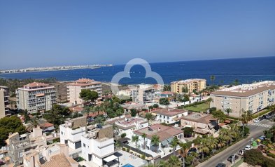 Uudiskohde - Flats -
Torrevieja - torrevieja