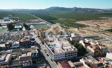 Obra nueva - Flats -
Algorfa