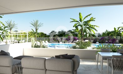 Obra nueva - Villas -
Orihuela