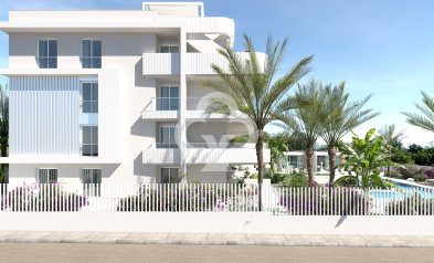 Obra nueva - Villas -
Orihuela