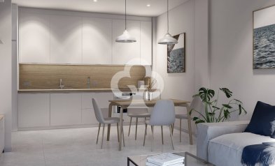 Obra nueva - Flats -
Torrepacheco