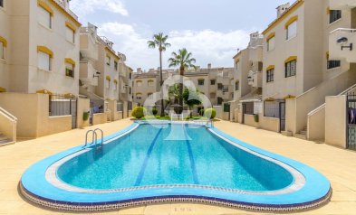 Wiederverkauf - Apartamento -
Orihuela Costa - Punta Prima