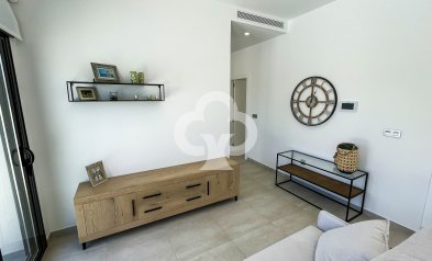 Obra nueva - Villas -
Pilar de la Horadada