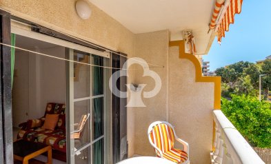 Wiederverkauf - Apartamento -
Orihuela Costa - Punta Prima