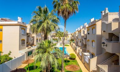 Wiederverkauf - Apartamento -
Orihuela Costa - Punta Prima