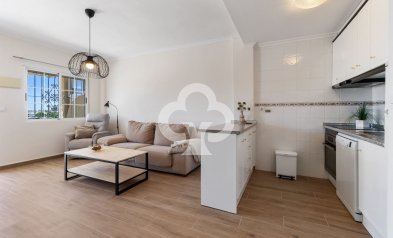 Jälleenmyynti - Bungalow -
Torrevieja - Nueva Torrevieja - Aguas Nuevas