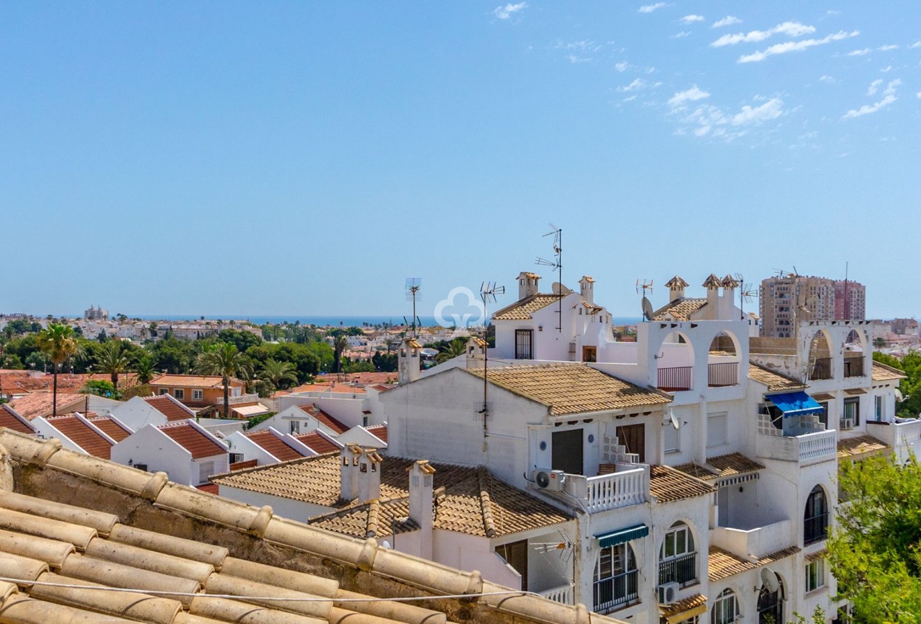 Jälleenmyynti - Asunto / huoneisto -
Torrevieja - Nueva Torrevieja - Aguas Nuevas