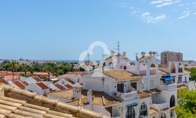 Återförsäljning - Lägenhet / lägenhet -
Torrevieja - Nueva Torrevieja - Aguas Nuevas