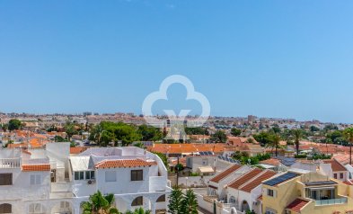 Wiederverkauf - Wohnung -
Torrevieja - Nueva Torrevieja - Aguas Nuevas