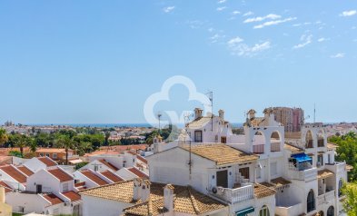 Wiederverkauf - Wohnung -
Torrevieja - Nueva Torrevieja - Aguas Nuevas