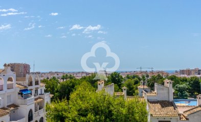 Jälleenmyynti - Asunto / huoneisto -
Torrevieja - Nueva Torrevieja - Aguas Nuevas