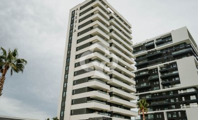 Neue Gebäude - Flats -
Calpe