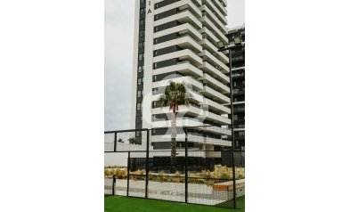 Neue Gebäude - Flats -
Calpe