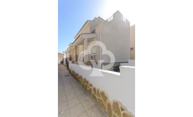 Obra nueva - Villas -
San Miguel de Salinas