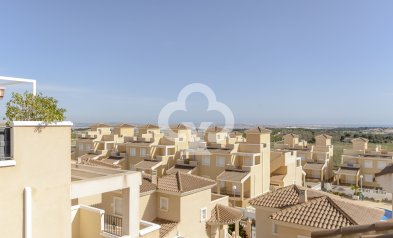 Obra nueva - Villas -
San Miguel de Salinas