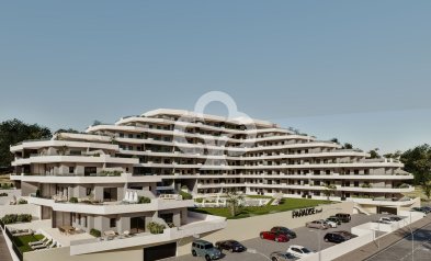 Obra nueva - Flats -
San Miguel de Salinas