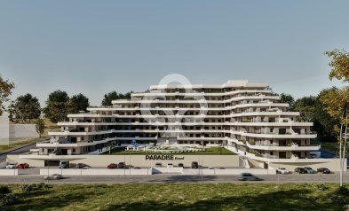 Obra nueva - Flats -
San Miguel de Salinas