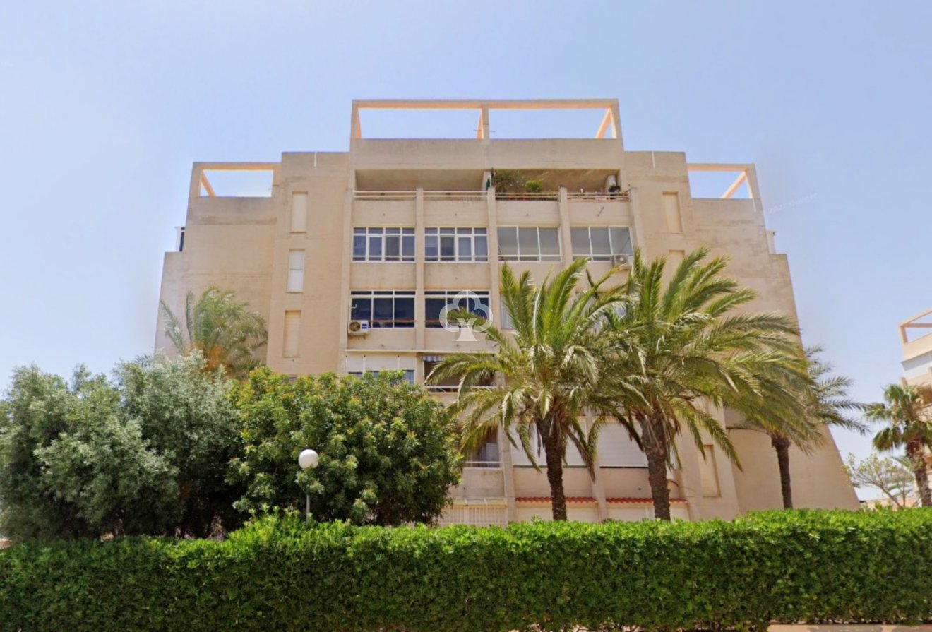 Wiederverkauf - Wohnung -
Torrevieja - Nueva Torrevieja - Aguas Nuevas