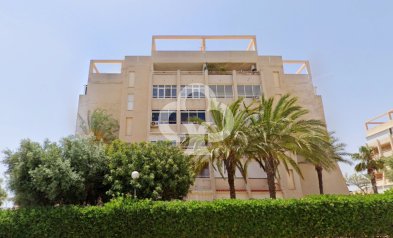 Resale - Apartment / flat -
Torrevieja - Nueva Torrevieja - Aguas Nuevas