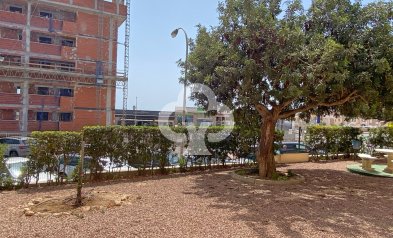 Reventa - Apartamento / piso -
Torrevieja - Nueva Torrevieja - Aguas Nuevas