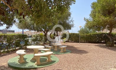 Reventa - Apartamento / piso -
Torrevieja - Nueva Torrevieja - Aguas Nuevas