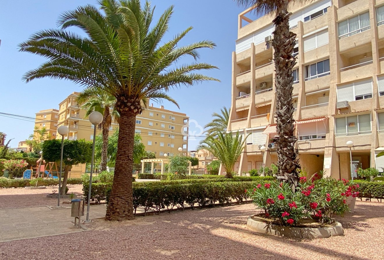 Återförsäljning - Lägenhet / lägenhet -
Torrevieja - Nueva Torrevieja - Aguas Nuevas