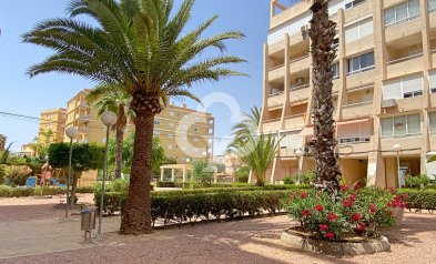 Wiederverkauf - Wohnung -
Torrevieja - Nueva Torrevieja - Aguas Nuevas