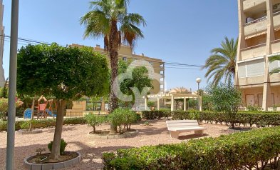 Wiederverkauf - Wohnung -
Torrevieja - Nueva Torrevieja - Aguas Nuevas