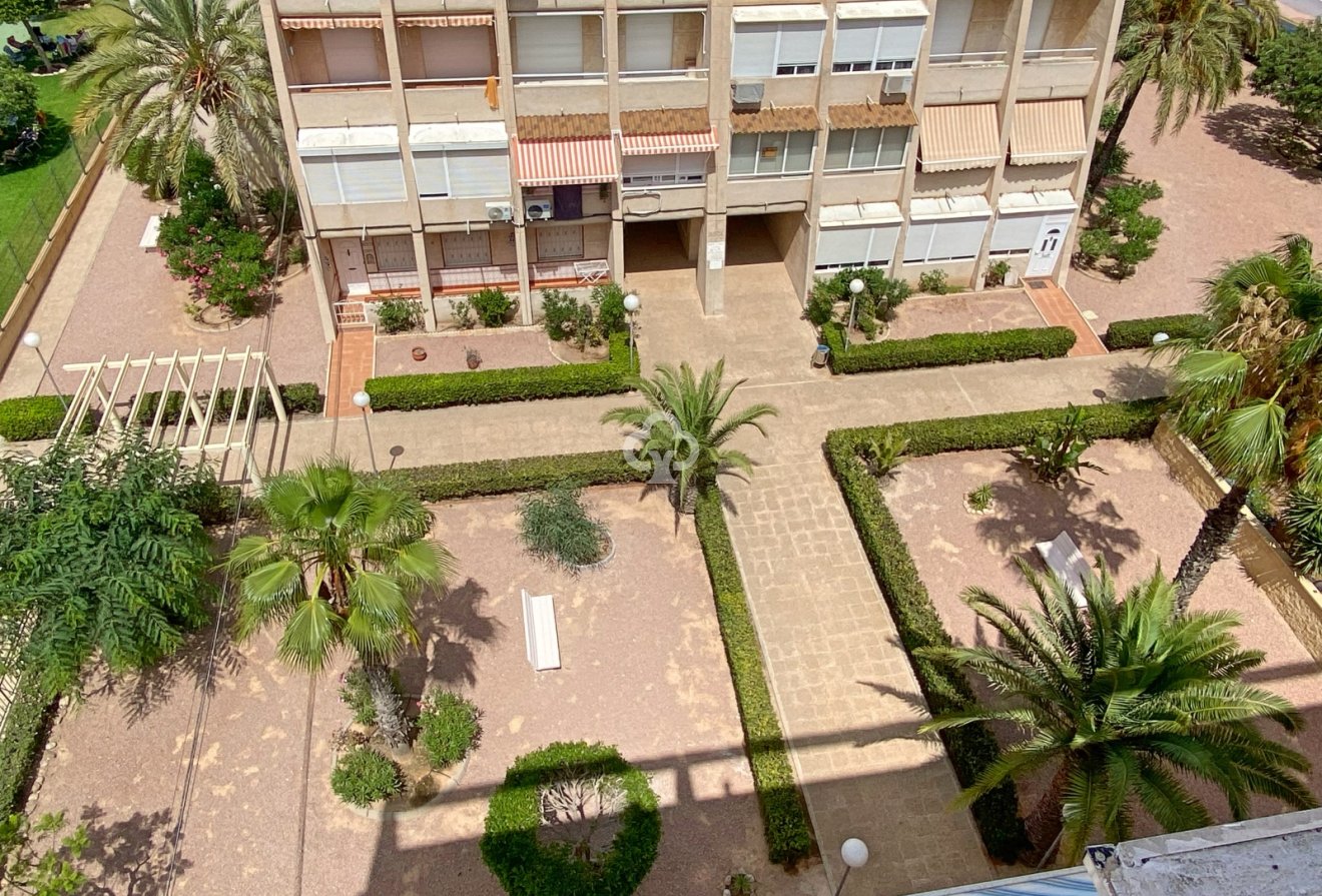 Wiederverkauf - Wohnung -
Torrevieja - Nueva Torrevieja - Aguas Nuevas