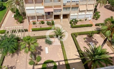 Wiederverkauf - Wohnung -
Torrevieja - Nueva Torrevieja - Aguas Nuevas