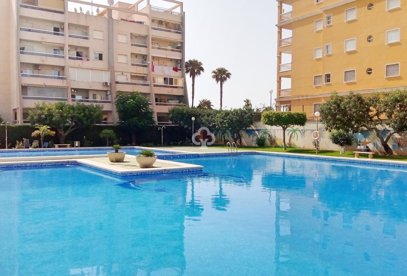 Wiederverkauf - Wohnung -
Torrevieja - Nueva Torrevieja - Aguas Nuevas