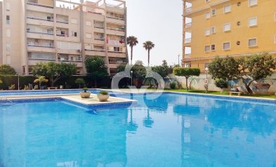 Jälleenmyynti - Asunto / huoneisto -
Torrevieja - Nueva Torrevieja - Aguas Nuevas