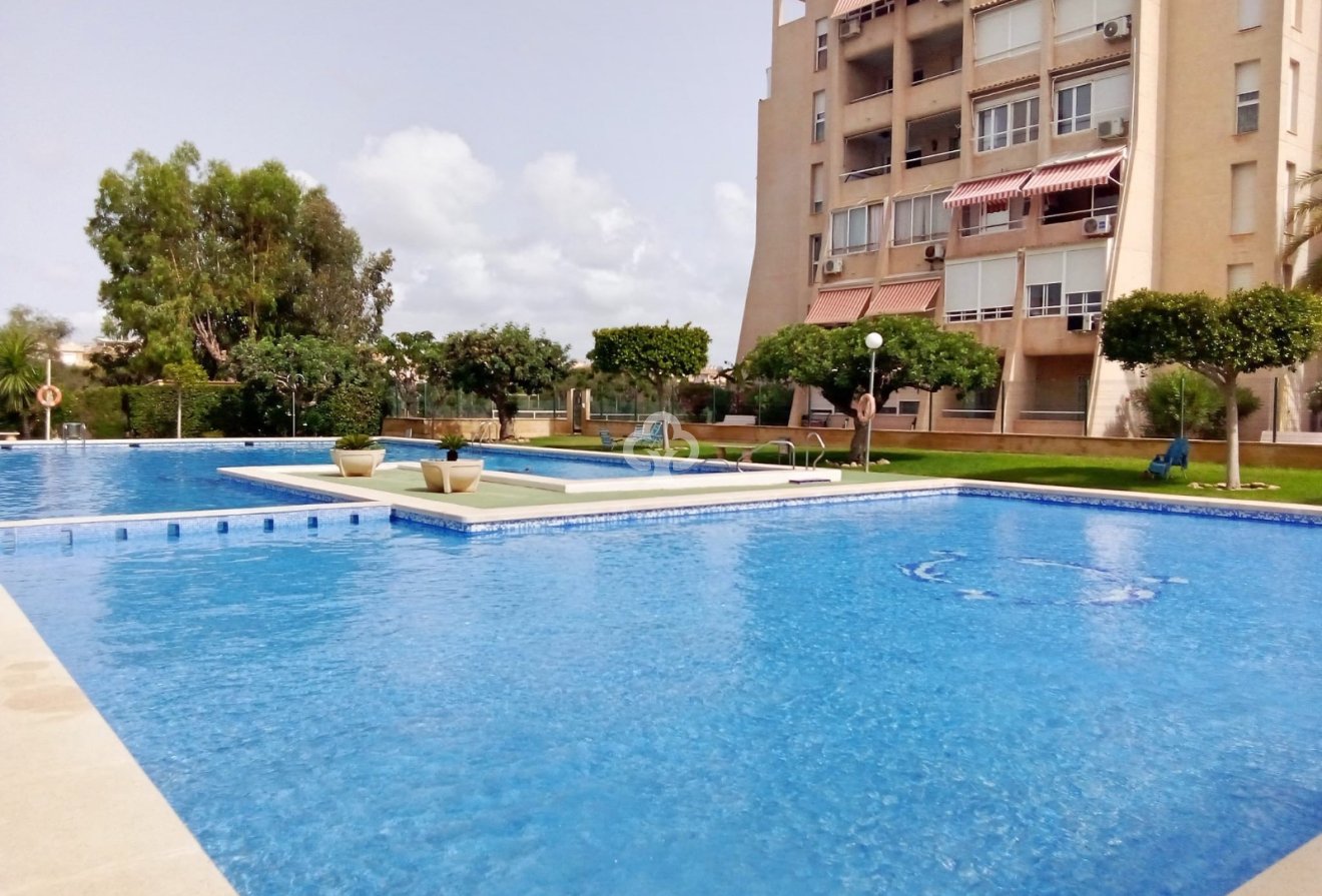 Wiederverkauf - Wohnung -
Torrevieja - Nueva Torrevieja - Aguas Nuevas