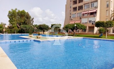 Wiederverkauf - Wohnung -
Torrevieja - Nueva Torrevieja - Aguas Nuevas