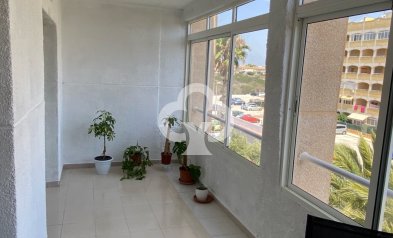 Wiederverkauf - Wohnung -
Torrevieja - Nueva Torrevieja - Aguas Nuevas