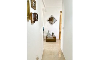 Reventa - Apartamento / piso -
Guardamar del Segura - Guardamar pueblo