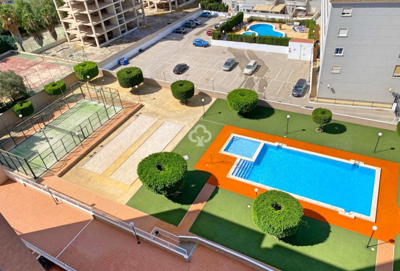 Reventa - Apartamento / piso -
Guardamar del Segura - Guardamar pueblo