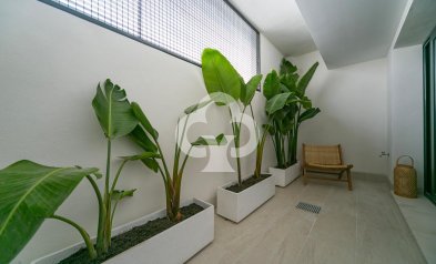 Obra nueva - Bungalow -
Torrevieja - Los balcones